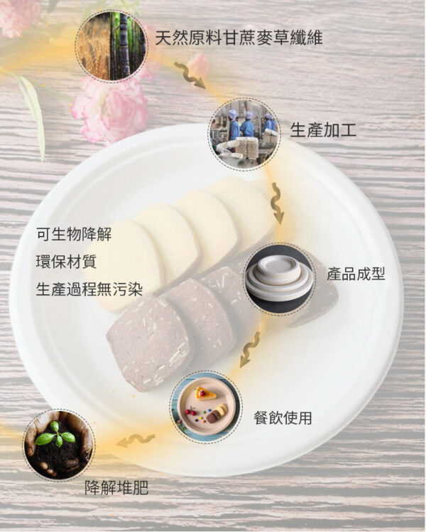 可降解甘蔗方碟 10吋 (50隻裝) 26CM：圖片 2