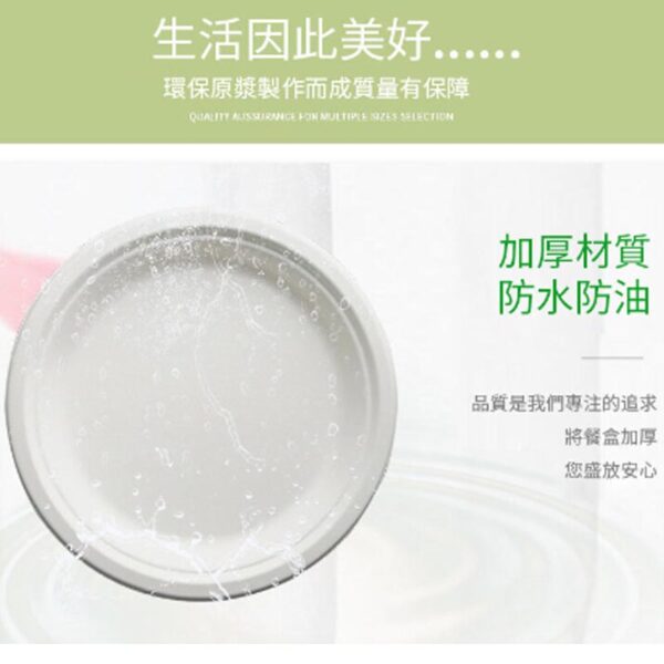 竹纖維三格紙碟 10吋  (50隻裝) 26cm：圖片 3