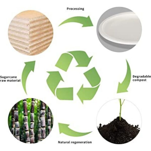 可降解甘蔗方碟 10吋 (50隻裝) 26CM：圖片 4